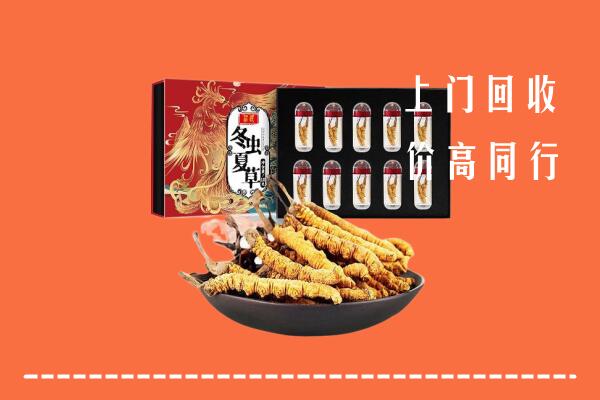 石家庄回收虫草
